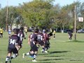 AFUCO11FA2013 094