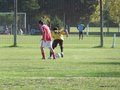 AFUCO11FA2013 064
