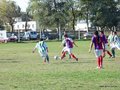 AFUCO11FA2013 015