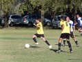 AFUCO11FA2013 109