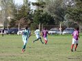 AFUCO11FA2013 018