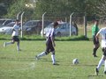 AFUCO11FA2013 009