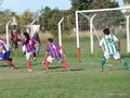 AFUCO11FA2013 031