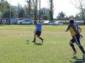 AFUCO12FA2013 068