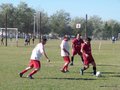 AFUCO12FA2013 031