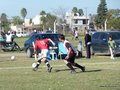 AFUCO12FA2013 084