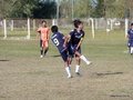 AFUCO12FA2013 133