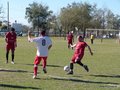 AFUCO12FA2013 037