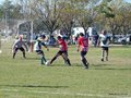 AFUCO12FA2013 011