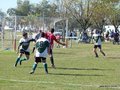 AFUCO12FA2013 009