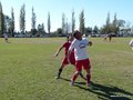 AFUCO12FA2013 033