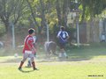 AFUCO12FA2013 119