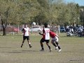 AFUCO12FA2013 096