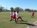 AFUCO12FA2013 034