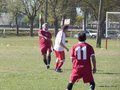 AFUCO12FA2013 029