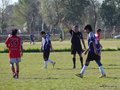 AFUCO12FA2013 117