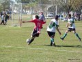 AFUCO12FA2013 008