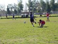 AFUCO12FA2013 105