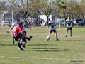 AFUCO12FA2013 013