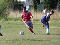 AFUCO12FA2013 111