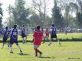 AFUCO12FA2013 100