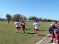 AFUCO12FA2013 035