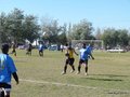 AFUCO12FA2013 064