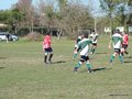 AFUCO12FA2013 006