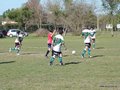 AFUCO12FA2013 005