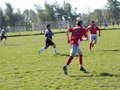 AFUCO12FA2013 124