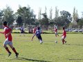 AFUCO12FA2013 104