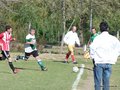 AFUCO12FA2013 002