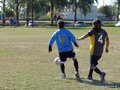 AFUCO12FA2013 066