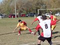 AFUCO13FA2013 041