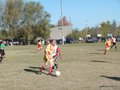 AFUCO13FA2013 045