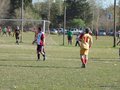 AFUCO13FA2013 049