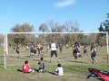 AFUCO13FA2013 021