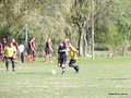 AFUCO13FA2013 024
