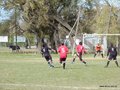 AFUCO13FA2013 008