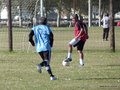 AFUCO13FA2013 020