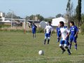 AFUCO13FA2013 107