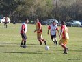 AFUCO13FA2013 048