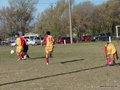 AFUCO13FA2013 042