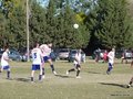 AFUCO13FA2013 104