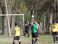 AFUCO13FA2013 023