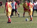 AFUCO13FA2013 051