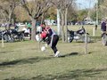 AFUCO13FA2013 011