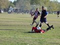 AFUCO13FA2013 077