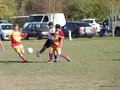 AFUCO13FA2013 037