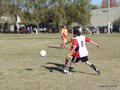 AFUCO13FA2013 043
